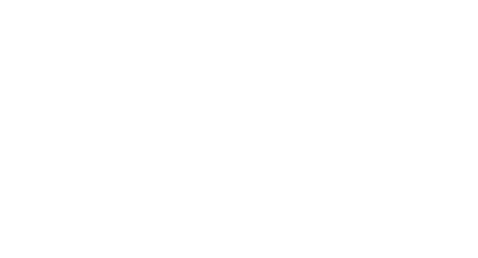 ZZIV GmbH